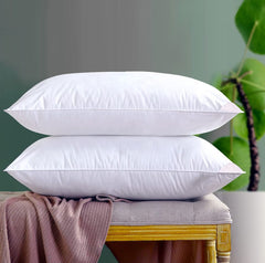 Vacuum Packed Filled Pillow