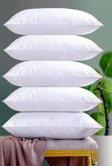 Vacuum Packed Filled Pillow